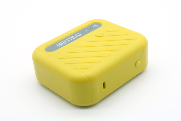 El Tipi Mini Tarih Kodlama Makinesi