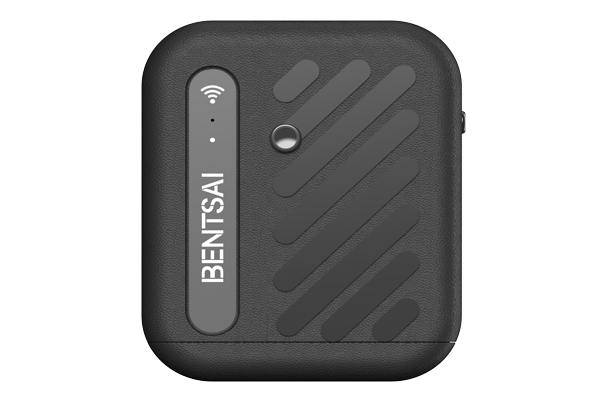 El Tipi Mini Tarih Kodlama Makinesi